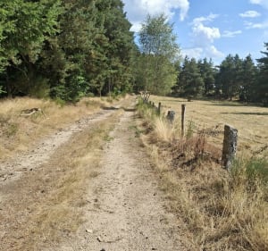 Grand tour de La Bessière - Peyre en Aubrac - 3