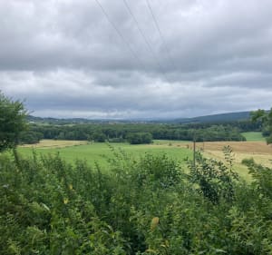 Boucle à partir Échenans-sous-Mont-Vaudois, et Bois du Mont - Marie Laure - 3