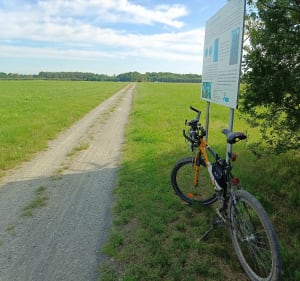 Rydułtowy - Wrocław dworzec PKP - Rydułtowy - 3