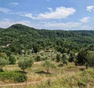 Balade dans les hauteurs de Générargues - Générargues - 4