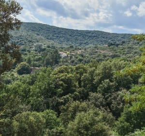 Balade dans les hauteurs de Générargues - Générargues - 3