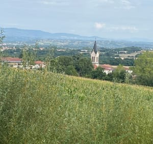 Dans les vignes de Seyssuel - Seyssuel - 3