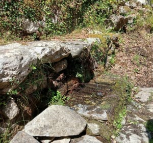 Sentier patrimonial Pioggiola, autour de Forcili - Pioggiola - 4