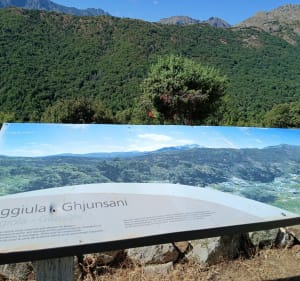 Sentier patrimonial Pioggiola, autour de Forcili - Pioggiola - 5