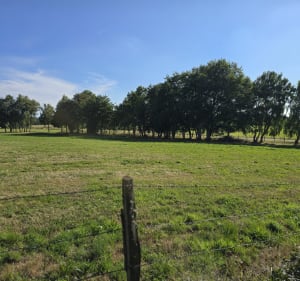 Sortie VTT autour de Moulet - Volvic - 2
