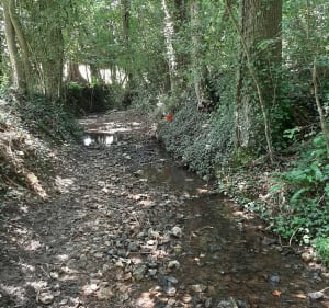 Par Monts et par Vaux de Manerbe à Formentin - Manerbe - 3
