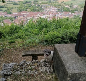 Rupt-aux-Nonains - Haironville - Rupt-aux-Nonains - 3