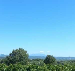 Chemin de la soie et Taulignan - Taulignan - 3