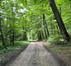 Balade entre Durmenach, Muespach et Roppentzwiller - Durmenach - 4