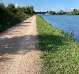 Le long de la Saône - Saint-Julien-sur-Veyle - 3