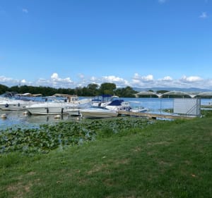 Le long de la Saône - Saint-Julien-sur-Veyle - 4