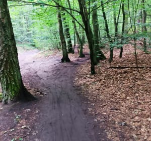 Trasa piesza 13km - Michał - 4