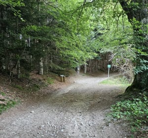 Boucle de la Noctula - Coucouron - 3