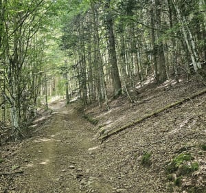 Boucle de la Noctula - Coucouron - 5