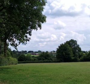 Petite balade dans les chemins de campagne de Larouillies - Larouillies - 3