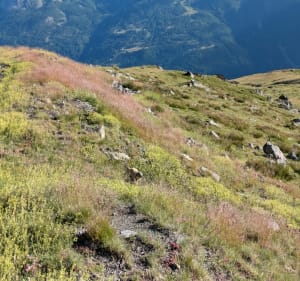 Lac de Cristol - Saint-Chaffrey - 5