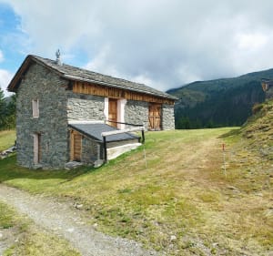 Entre forêt et Alpage, au départ du village du Roux - Les Belleville - 4