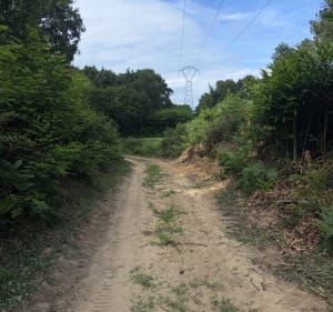 Circuit VTT Le Lude - Le Lude - 3