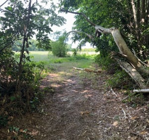 Circuit VTT Le Lude - Le Lude - 4