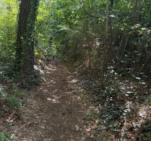 Circuit VTT Le Lude - Le Lude - 5