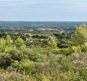 Sentier pédagogique des Costes - Pélissanne - 3