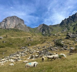 Table de Souperet en boucle, par le col de Saoubathou - Accous - 3