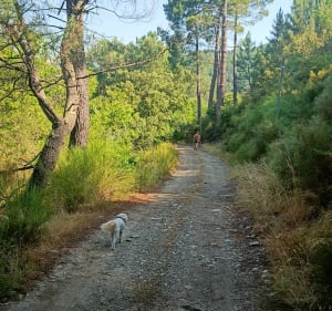 Sur le sentier de la Coupette - Saint-Étienne-Vallée-Française - 4