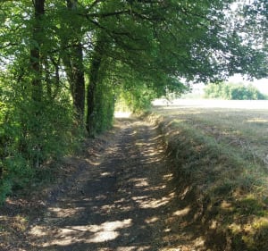 Balade au milieu de la nature - Bassillac et Auberoche - 5