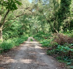 Boucle des sources chaudes de Hauterive - Hauterive - 3