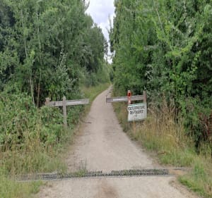 Forêt de Notre-Dame à partir de Lésigny - Lésigny - 3