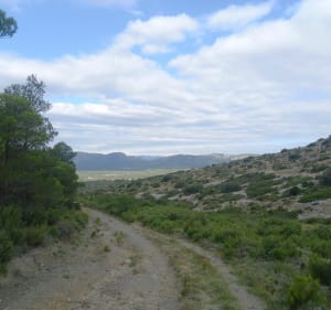 Autour du château d'Opoul et vue sur la plaine du Roussillon - Opoul-Périllos - 5