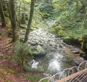 Grotte de la Diau - Fillière - 3
