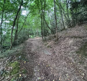 Boucle du bois de Brénil - Saulieu - 4