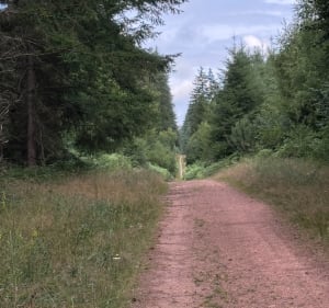 Boucle du bois de Brénil - Saulieu - 5