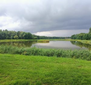 Trasa spacerowa łąkami i lasami wokoło lotniska - Rybnik - 4