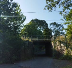 Boucle autour de la Minais - Sainte-Luce-sur-Loire - 5