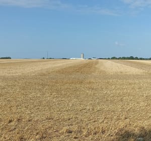 De Brassepot jusqu'à la route de Saint-Christophe - Aigrefeuille-d'Aunis - 4