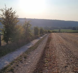 Boucle de marche entre Autricourt et Grancey-sur-Ource - Autricourt - 3