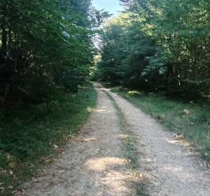 Boucle Saint-Julien-de-Crempse - Eyraud-Crempse-Maurens - 3