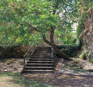 Le Poire-sur-vie - La Maumernière - Le Poiré-sur-Vie - 3