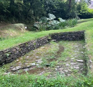 Randonnée d'Aran - Plestin-les-Grèves - 5