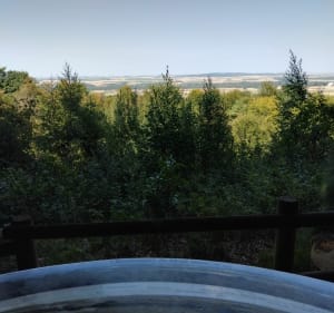 Forêt de Verzy - Verzy - 4