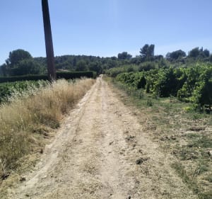 Petite balade tranquille à Saint-Martin-de-la-Brasque - Saint-Martin-de-la-Brasque - 3