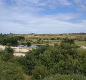 Promenade à la pointe du Banc - Saint-Germain-sur-Ay - 5