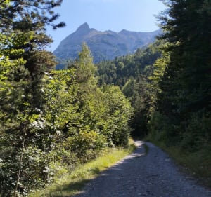 Circuit notre dame de Bois Vert, par Côte Farelle - La Fare-en-Champsaur - 3