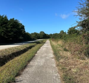 Balade au milieu de l’île d'Oléron et Marais de la Perroche - Saint-Pierre-d'Oléron - 3