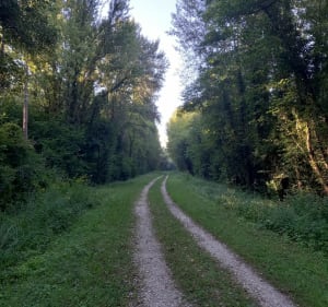 Entre 2 ponts, de Groslée et d'Evieu - Groslée-Saint-Benoit - 4