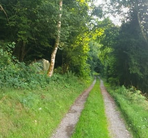 La croix de Partier par le dessus de Rupt - Rupt-sur-Moselle - 3