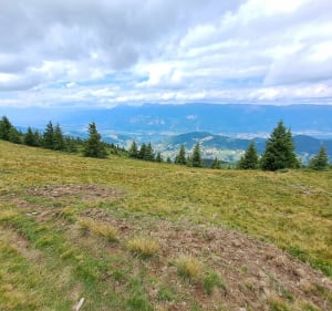 Entre Pincerie et Refuge du crêt du Poulet - Le Haut-Bréda - 3