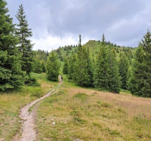 Entre Pincerie et Refuge du crêt du Poulet - Le Haut-Bréda - 4